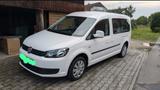Volkswagen Caddy Maxi Volkswagen Caddy Maxi 7 Sitz 1.6 TDI - Volkswagen Caddy Maxi aus 2015