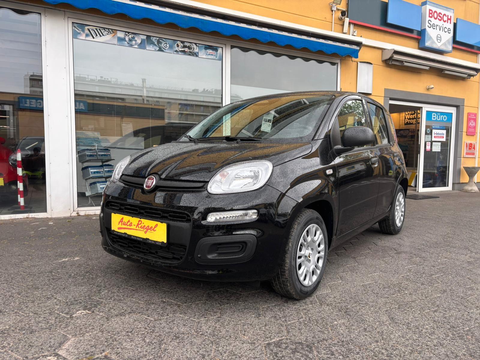 Fiat Panda Pandina Pop - Einparkhilfe/Klima/Tempomat