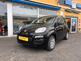 Fiat Panda Pandina Pop - Einparkhilfe/Klima/Tempomat - Fiat Panda in Mainz