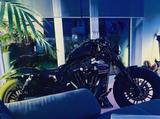 Harley-Davidson Sportster 48  STAGE 2 - Offers matching your search criteria