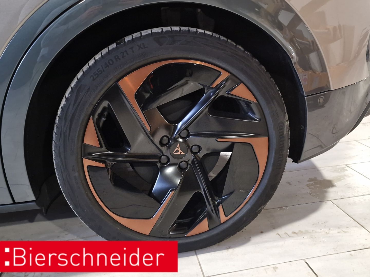 Cupra Tavascan - Bild 17