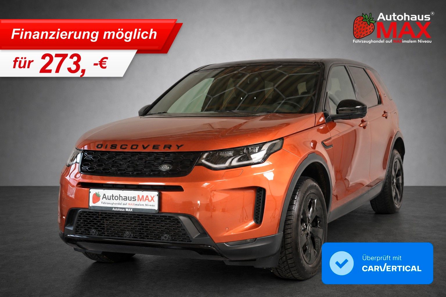 Land-Rover Discovery - 1