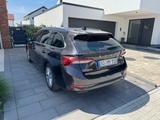 Skoda Octavia 1.5 TSI ACT STYLE COMBI STYLE - Skoda Octavia von privat
