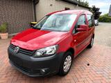 Volkswagen Caddy 1,2TSI 63kW Roncalli 5-Sitze Roncalli - Volkswagen Caddy mit Benzin-Antrieb: Kombi, 1.6