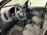 Fiat Panda Pandina 1.0 Hybrid | Digitaler Tacho | PDC - Fiat Panda mit Benzin-Antrieb