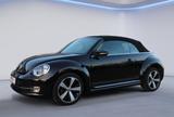 Volkswagen Beetle Cabriolet Cup/Zender Sound/ 2xPDC - gebrauchte VW Beetle aus dem Jahr 2015