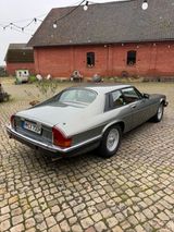 Jaguar XJSC XJS 5.3 H.E. Coupé V12 H-Zulassung  - Jaguar: V12