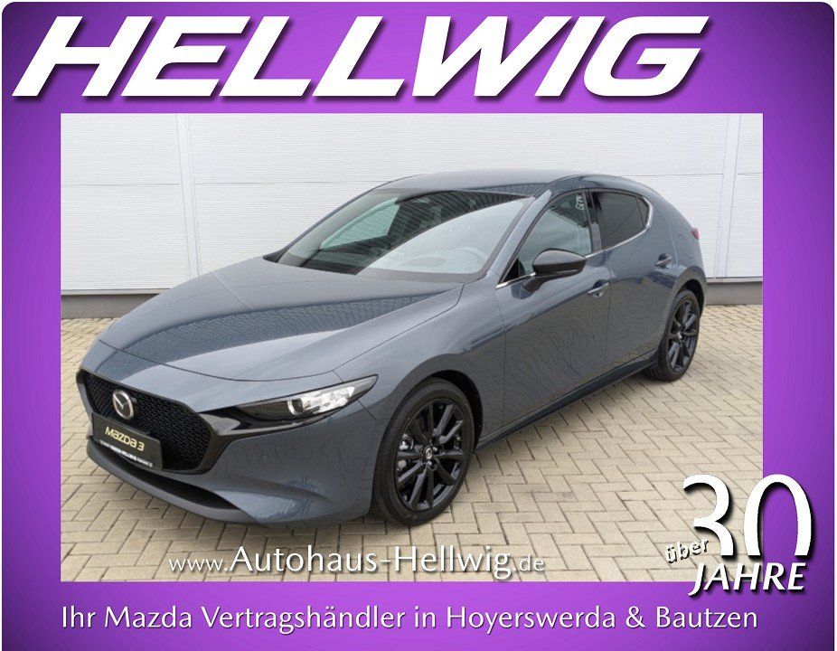 Mazda 3 5-Türer 2.5l (140PS) Homura Automatik Kamera N