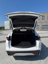 Alfa Romeo Stelvio 2.0 Turbo - Vollleder, Panorama, TÜV Neu - Alfa Romeo Stelvio von privat