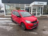 Skoda Citigo Monte Carlo PDC Sitzhz. - Skoda Citigo mit Benzin-Antrieb