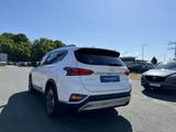 Hyundai Santa Fe 2.2 CRDi Premium 4WD  LED AHK 360° - Hyundai SANTA FE: Crdi