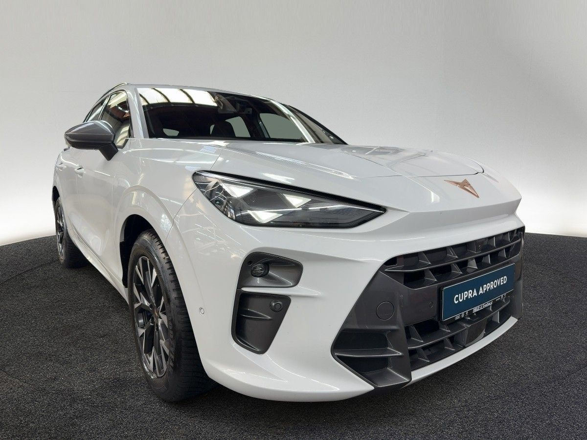 Cupra Terramar - Bild 5