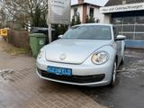 Volkswagen Beetle 1.2 TSI Navi-RD/CD-Klimaauto.-Sitzhzg.... - VW Beetle Benzin Gebrauchtwagen