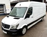 Mercedes-Benz Sprinter II  313CDI MAXI Tüv NEU+1.HAND+Klima - Mercedes-Benz Sprinter: 313 Cdi Maxi