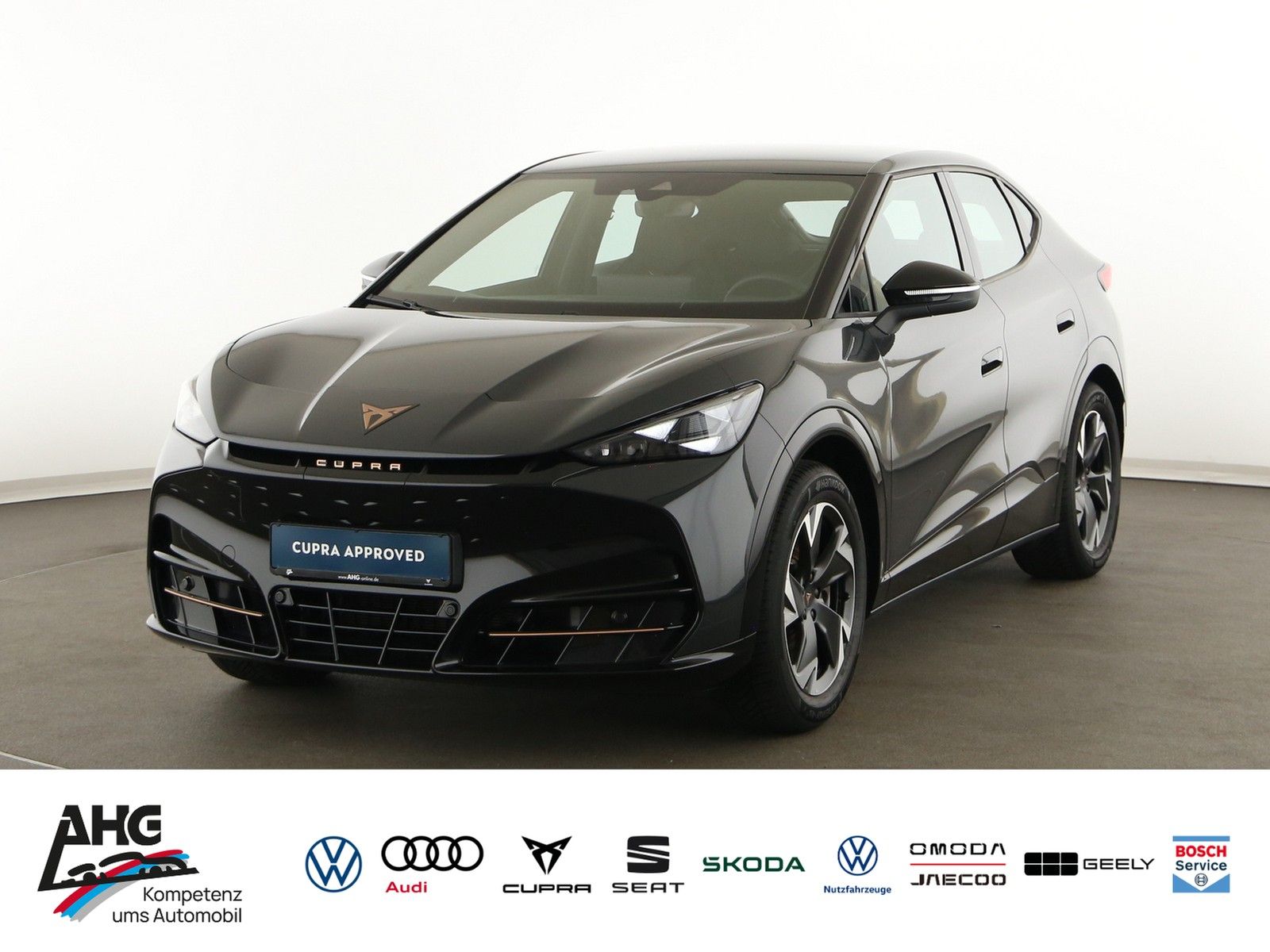 Cupra Tavascan Endurance 285 PS 77kWh CUPRA  LED Navi 