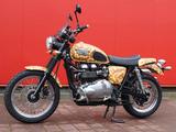 Triumph Scrambler, Bonneville, Speedmaster Safai Edition - TRIUMPH SPEEDMASTER
