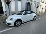 Volkswagen New Beetle Cabrio - super Zustand!