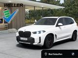 BMW X5 xDrive30d MSportPro Innov Standhzg AHK HUD - BMW X5 Hybrid (Diesel/Elektro): Weiß, Ambiente-Beleuchtung