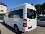 Mercedes-Benz Sprinter II VIP Lounge mit 9 Sitze L2 H3 - Mit v gebraucht