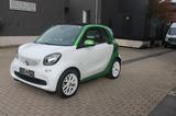 Smart EQ ForTwo greenflash passion Aut.*Sitzhzg*PDC* - Smart ForTwo: Passion