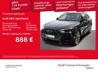 Audi SQ5 - Vorschau Bild 1