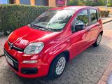 Fiat Panda 1.2 Klima tüv neu - Fiat Panda Gebrauchtwagen in Braunschweig