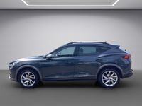Cupra 