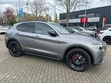 Alfa Romeo Stelvio 2.0 Turbo 16V 147kW B-Tech AT8-Q4 B-Tech - Alfa Romeo Gebrauchtwagen in Karlsruhe