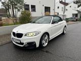 BMW 228i Cabrio M Sport Handschalter Memorysitze - BMW 228 aus 2015
