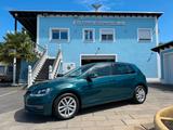 Volkswagen Golf 7 Comfortline 1.6TDI mit ACC und Garantie! - Volkswagen Golf: 7 TDI
