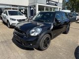 MINI Cooper SD Countryman *Klima*Leder*PanorDach*PDC - MINI Cooper SD Countryman aus 2015