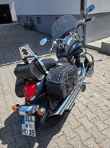 Suzuki VL800 - Angebote entsprechen deinen Suchkriterien