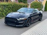Ford Mustang 2.3 GT Cabrio Shelby Performa... - Ford Mustang: Cabrio, Shelby