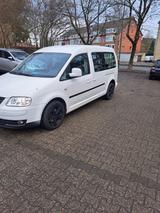 Volkswagen VW Caddy Maxi 1,9 TDI - Volkswagen Caddy Maxi aus 2009