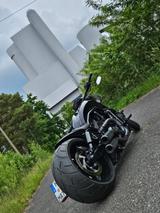 Harley-Davidson Night Rod - CHOPPER VON 1001 BIS 1500 CCM