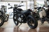 BSA Scrambler 650 ABS, Lieferservice - Offers