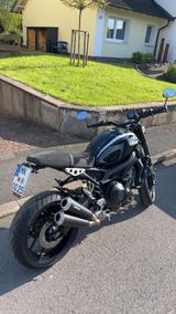 Yamaha XSR 900 - Offers matching your search criteria