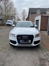 Audi SQ5 Competition - Audi SQ5 Gebrauchtwagen in Köln