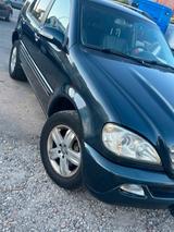 Mercedes-Benz Mercedes mL 270cdi - Mercedes-Benz ML 270 aus 2005