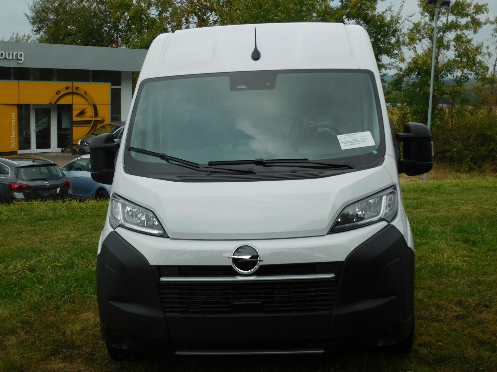 Opel Movano Kasten L3H2+KAMERA+AHK+LDB imagem 2