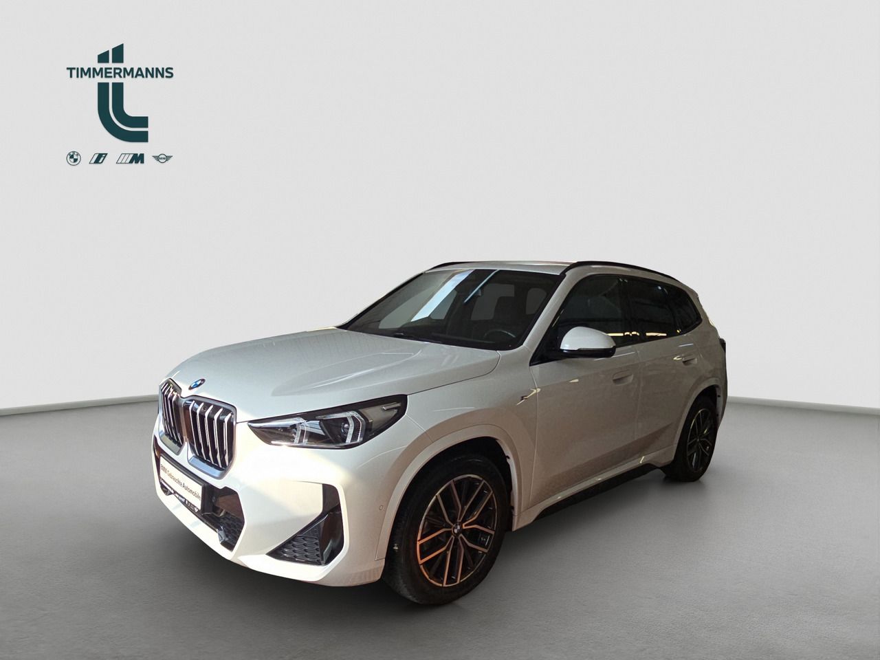 BMW X1 sDrive18i Steptronic M Sportpaket Sportsitze