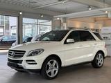 Mercedes-Benz ML 350 ML ML 350 CDI BlueTec 4Matic* AMG-LINE * - Mercedes-Benz Ml