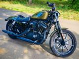 Harley-Davidson sportster 883 iron - HARLEY-DAVIDSON SPORTSTER IRON