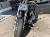Harley-Davidson Fat Boy Custom Umbau nur 4800 km !!! - Angebote entsprechen deinen Suchkriterien