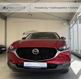 Mazda CX-30 Homura 2WD Autom., *LED *Kamera *Navi *ACC - Mazda CX-30 Gebrauchtwagen in Hamburg