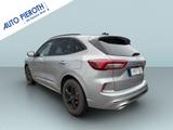 Ford Kuga 1.5 EcoBoost ST-LINE - Ford Kuga Tageszulassungen