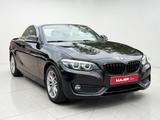 BMW 218i Cabrio Advantage*LED*PDC*TEMPO*KLIMA*NAVI - BMW 218 in Hamburg