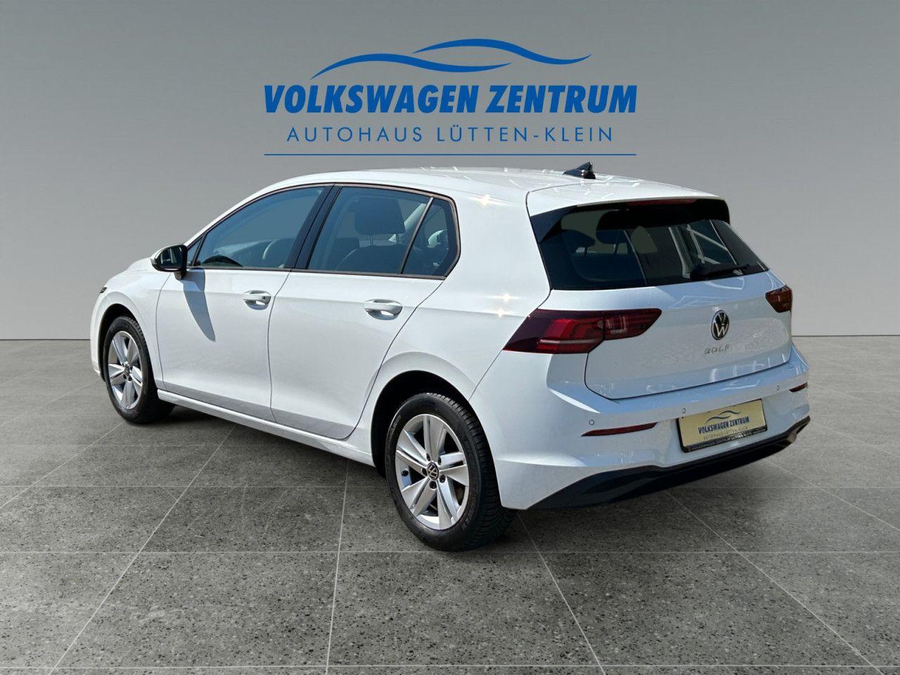 Volkswagen Golf VIII 1.5 TSI Goal,SHZ,GJR,APP,LED,ACC, миниатюра 3