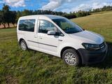 Volkswagen Caddy 1,2TSI 62kW BMT Trendline 5-Sitzer Tre... - VW Caddy von privat