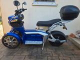 Other Doohan eGo2 3-Rad Elektroroller +2.Akku - Offers